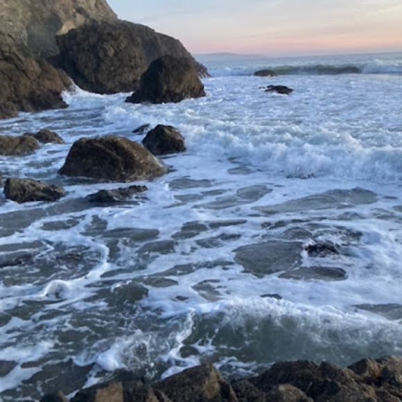 bayreinne25